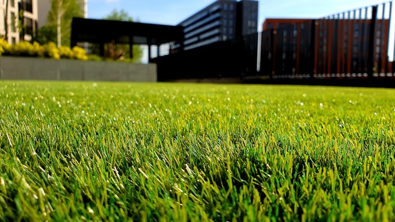 Lawn Care Allentown PA: Seasonal Plan, Costs & Local Pros