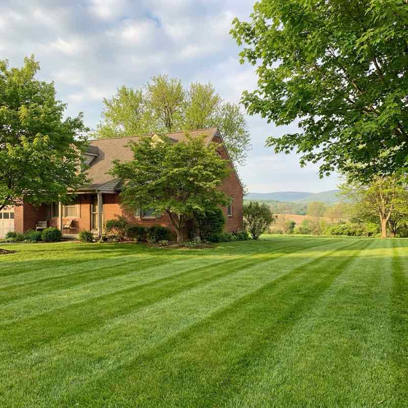Lawn Care Lehigh Valley: What to Book, When to Start & Who to Compare